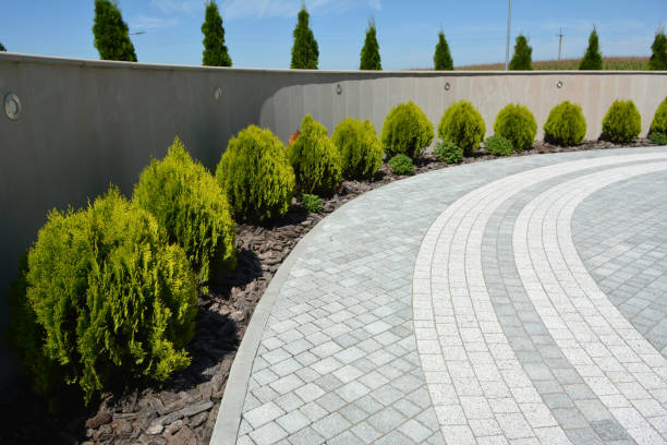 Best Driveway Paving Contractor  in Lakeport, CA